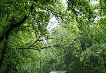钟山风景名胜区第 94 张图片