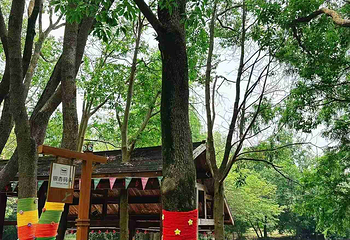 同里国家湿地公园第 92 张图片
