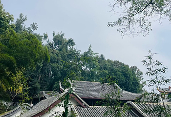 岳麓山第 33 张图片