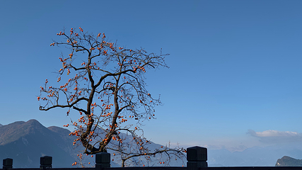 巫峡口景区第 17 张图片