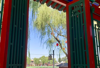 什刹海风景区第 217 张图片