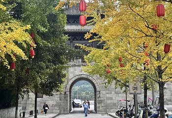 阆中古城第 66 张图片