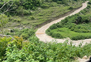 佩妮达岛第 196 张图片