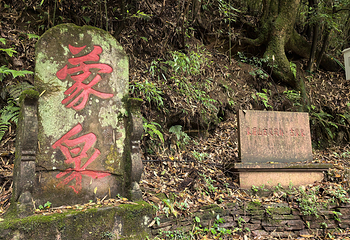 蒙顶山第 110 张图片