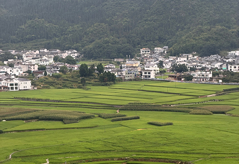 万峰林景区第 129 张图片
