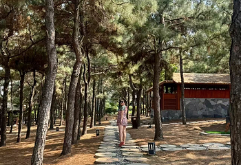东海森林温泉度假区第 20 张图片