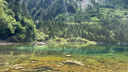 九寨沟风景区第 513 张图片