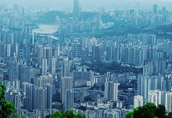歌乐山国家森林公园第 41 张图片