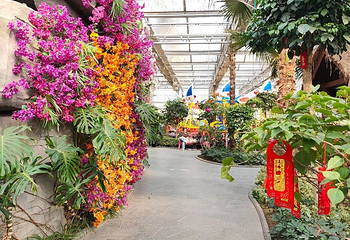 南宫旅游休闲度假区第 105 张图片