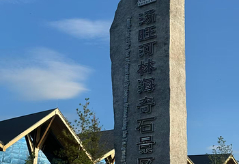 汤旺河林海奇石景区第 34 张图片