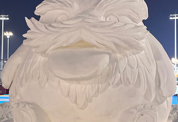 哈尔滨冰雪大世界第 873 张图片
