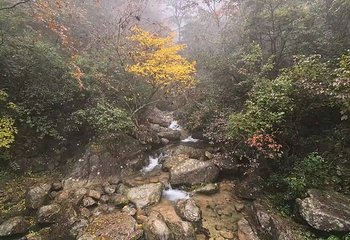 黄山风景区第 484 张图片
