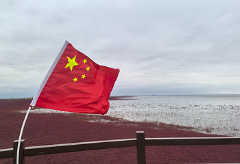红海滩国家风景廊道第 182 张图片