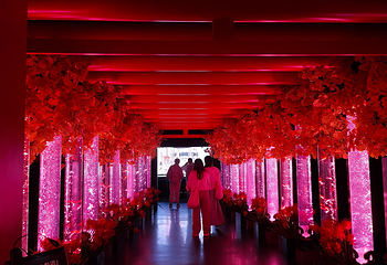 银座艺术水族馆美术馆第 18 张图片