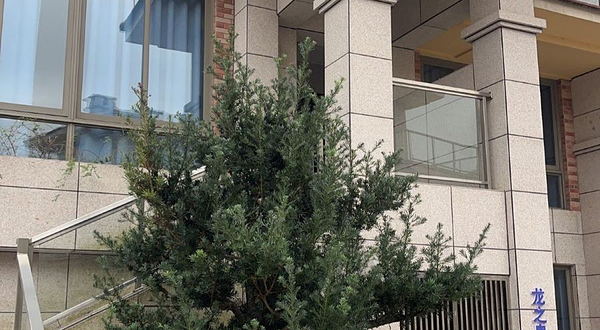 龙之泉78度硫磺温泉