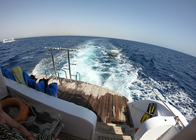 Dolphin House - Sha'ab Samadai Reef