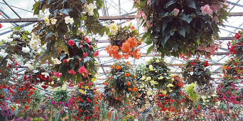 松江花鳥園第 12 张图片