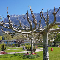 Mini Golf