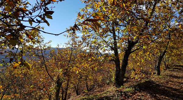 Sendero Juzcar - Cartajima