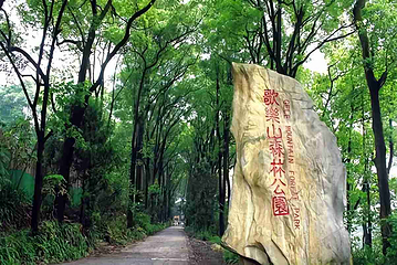 歌乐山国家森林公园第 15 张图片