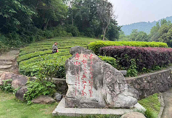 敬亭山第 40 张图片
