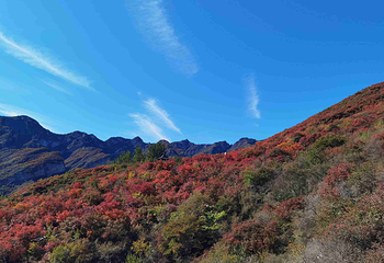 坡峰岭第 48 张图片
