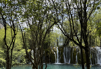 九寨沟风景区第 569 张图片