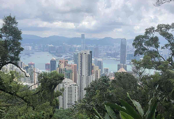 太平山顶第 269 张图片
