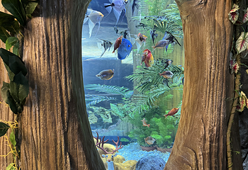 河内乐天世界水族馆第 24 张图片