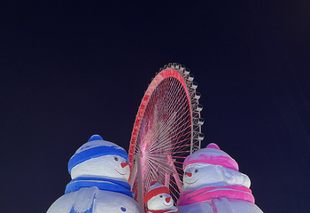 哈尔滨冰雪大世界第 494 张图片