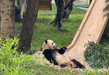 重庆动物园第 98 张图片