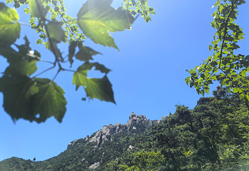天柱山第 80 张图片