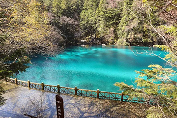 九寨沟风景区第 556 张图片