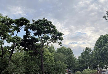 西安世博园第 142 张图片