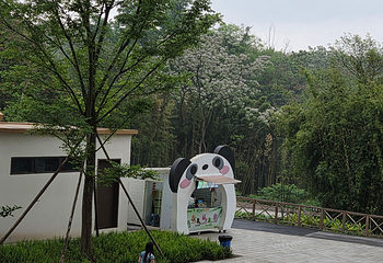成都大熊猫繁育研究基地第 487 张图片