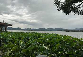 西湖风景名胜区第 285 张图片
