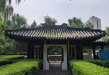 团结湖公园第 51 张图片