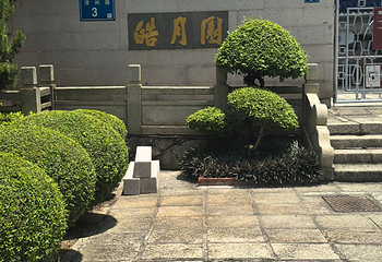 皓月园第 27 张图片