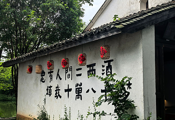 西溪国家湿地公园第 228 张图片