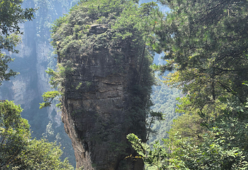 天门山国家森林公园第 451 张图片