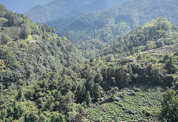 石台牯牛降景区第 110 张图片