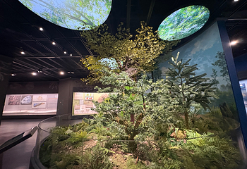 辽宁朝阳鸟化石国家地质公园第 107 张图片