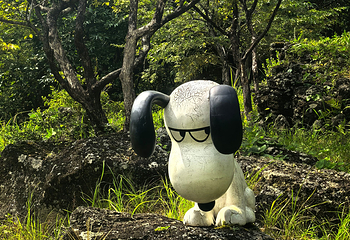 史努比乐园第 67 张图片