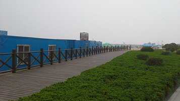 海水浴场-观海木栈道