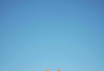 明显陵文化旅游景区第 33 张图片