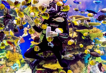 加拿大里普利水族馆第 24 张图片