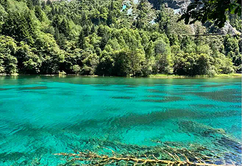 九寨沟风景区第 254 张图片