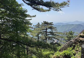 黄山风景区第 155 张图片