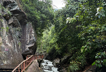 白水寨风景名胜区第 87 张图片