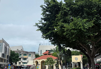 氹仔岛第 37 张图片